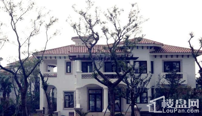 东郊半岛别墅实景图