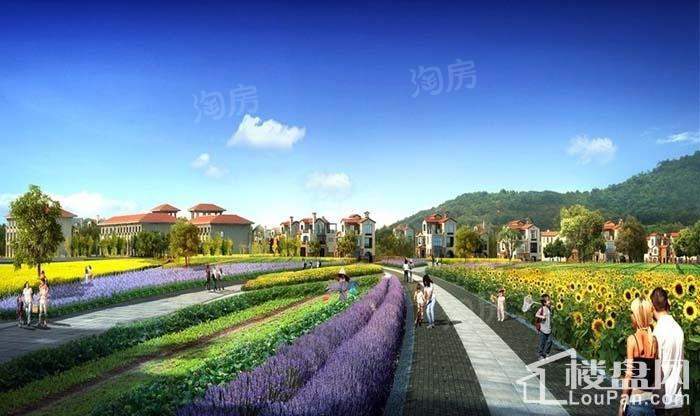 山湖鹭岛效果图