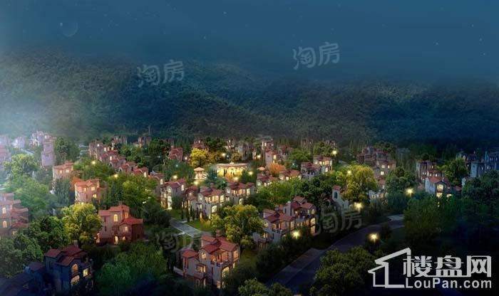 山湖鹭岛效果图