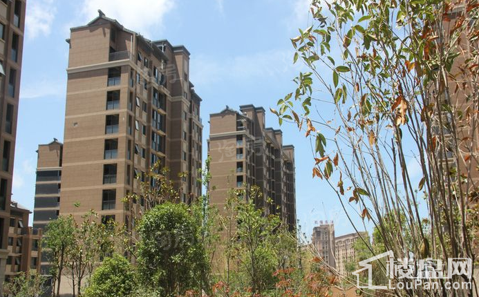 丽都华庭实景图