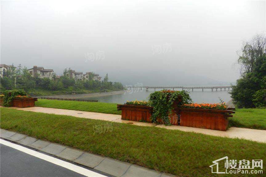 山湖鹭岛实景图