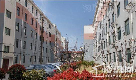 城建爱上海实景图
