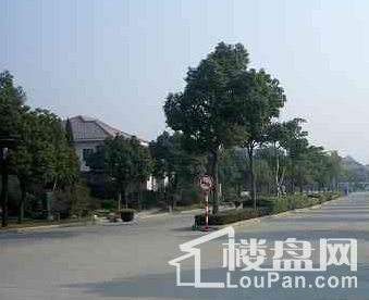 九城家天下雅苑实景图
