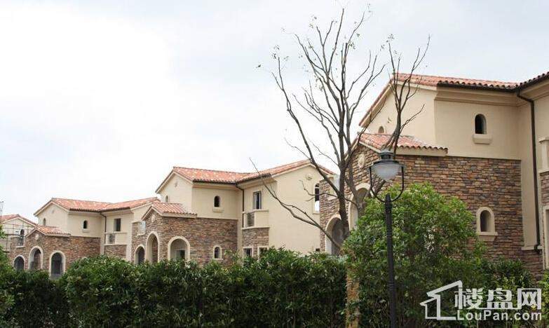 堤亚纳昱墅实景图