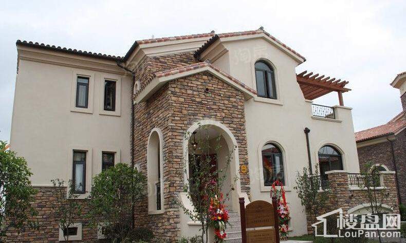 堤亚纳昱墅实景图