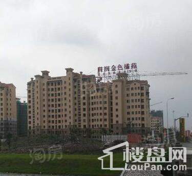 实景图