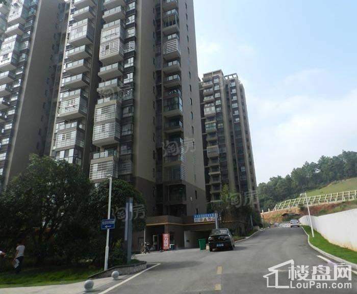 碧桂园公园壹号实景图