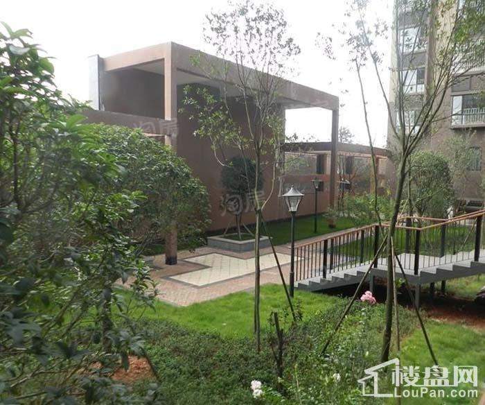 碧桂园公园壹号实景图
