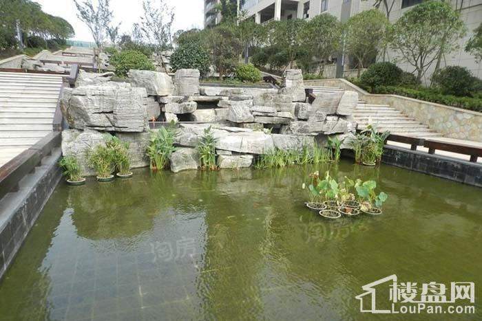 碧桂园公园壹号实景图