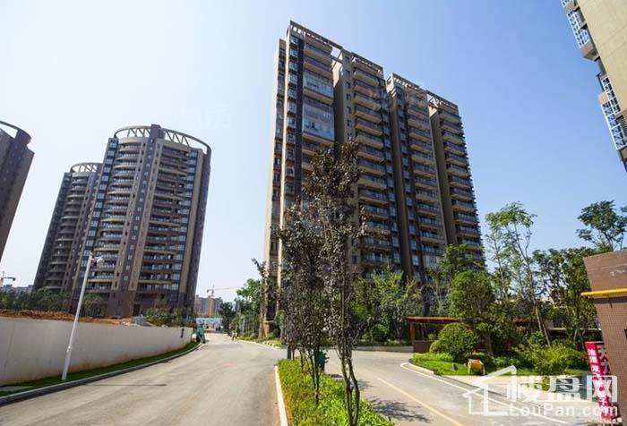 碧桂园公园壹号实景图