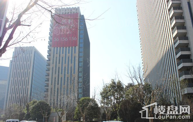 实景图