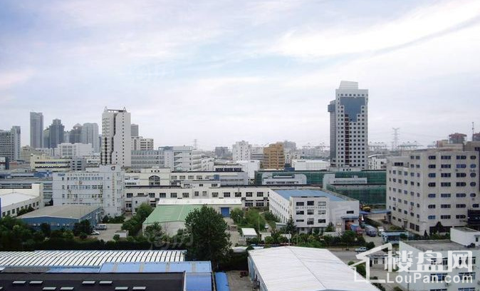 实景图