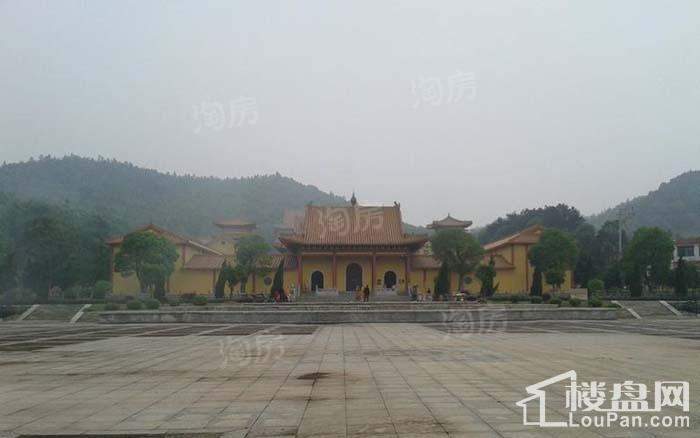 金桥国际配套图
