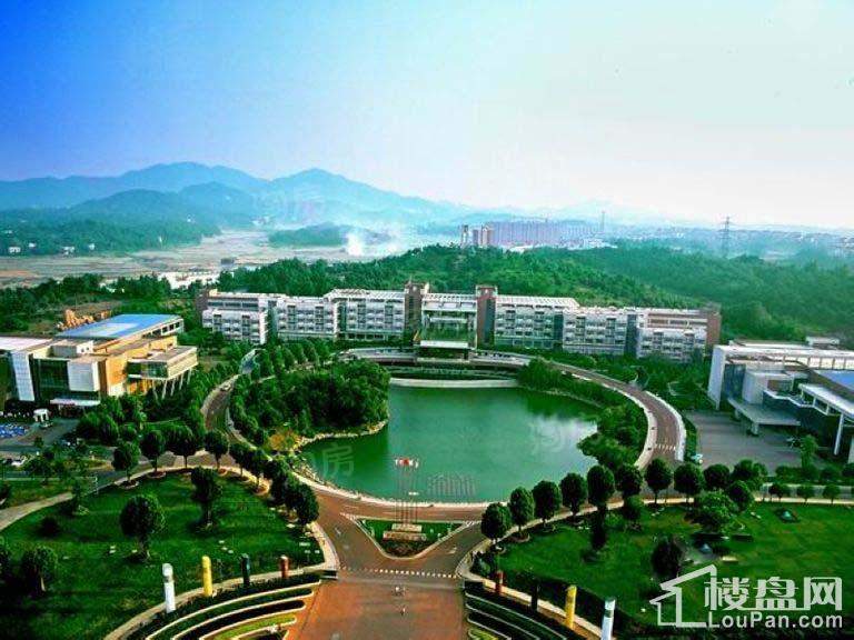 金桥国际配套图