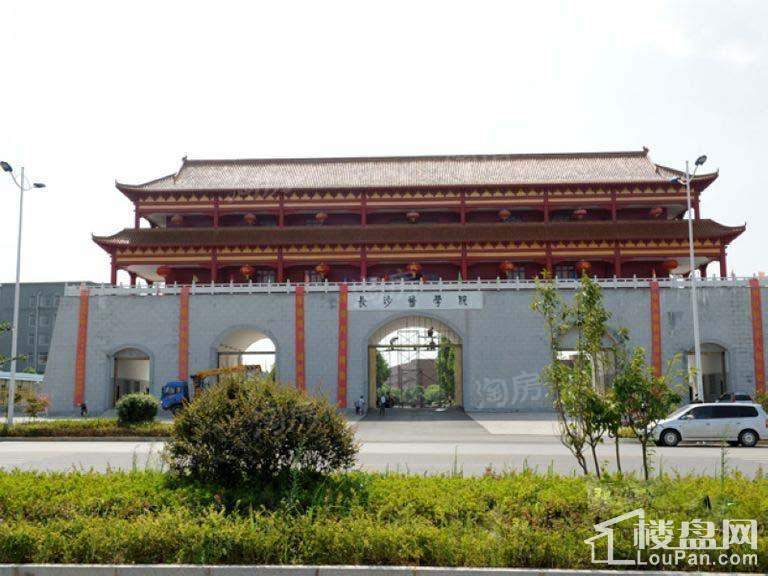 金桥国际配套图