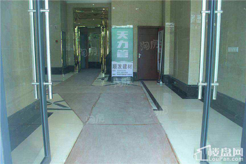 实景图