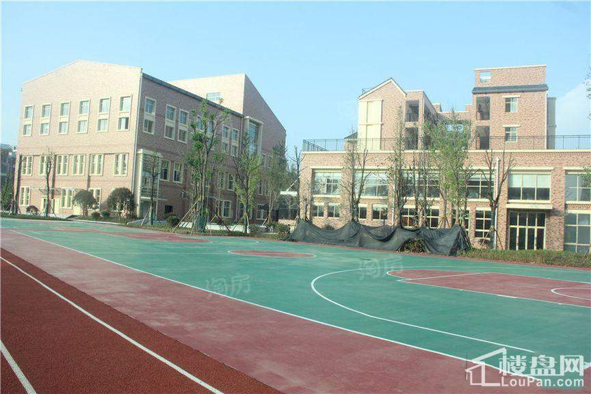 天悦国际实景图