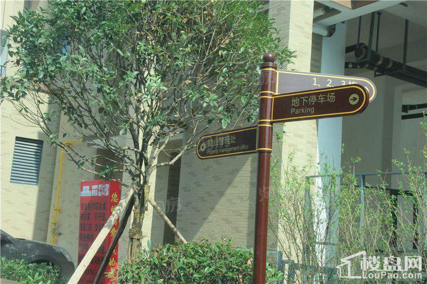 天悦国际实景图