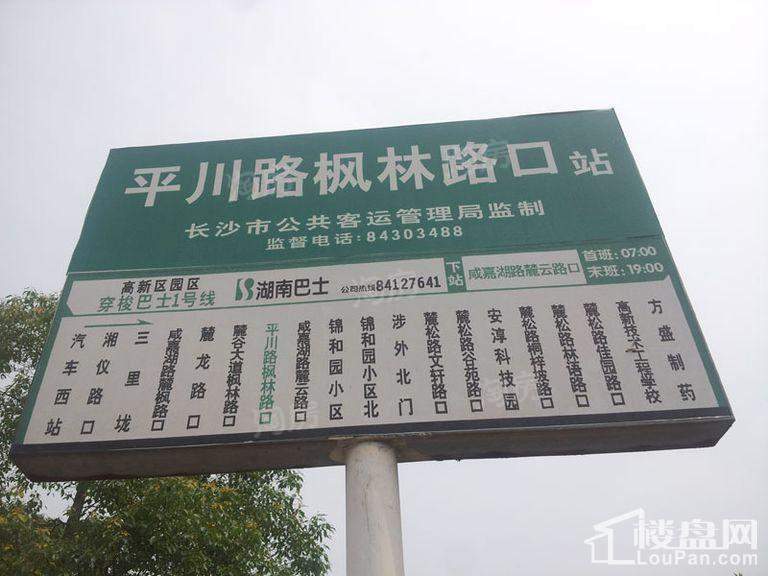 天悦国际配套图