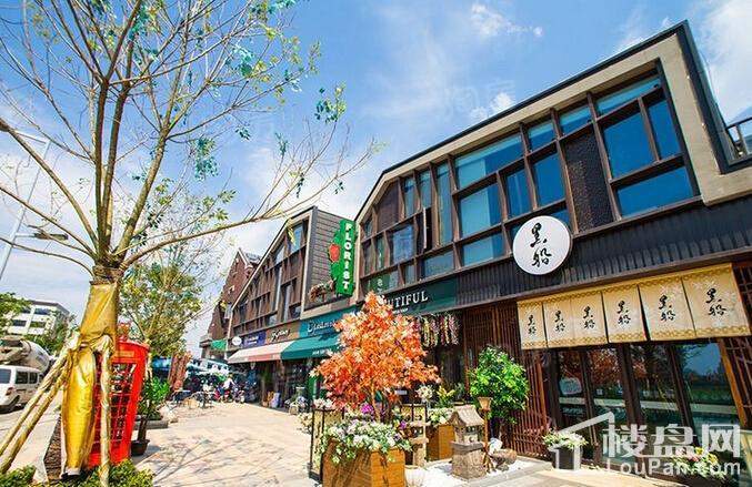 万科有山配套图
