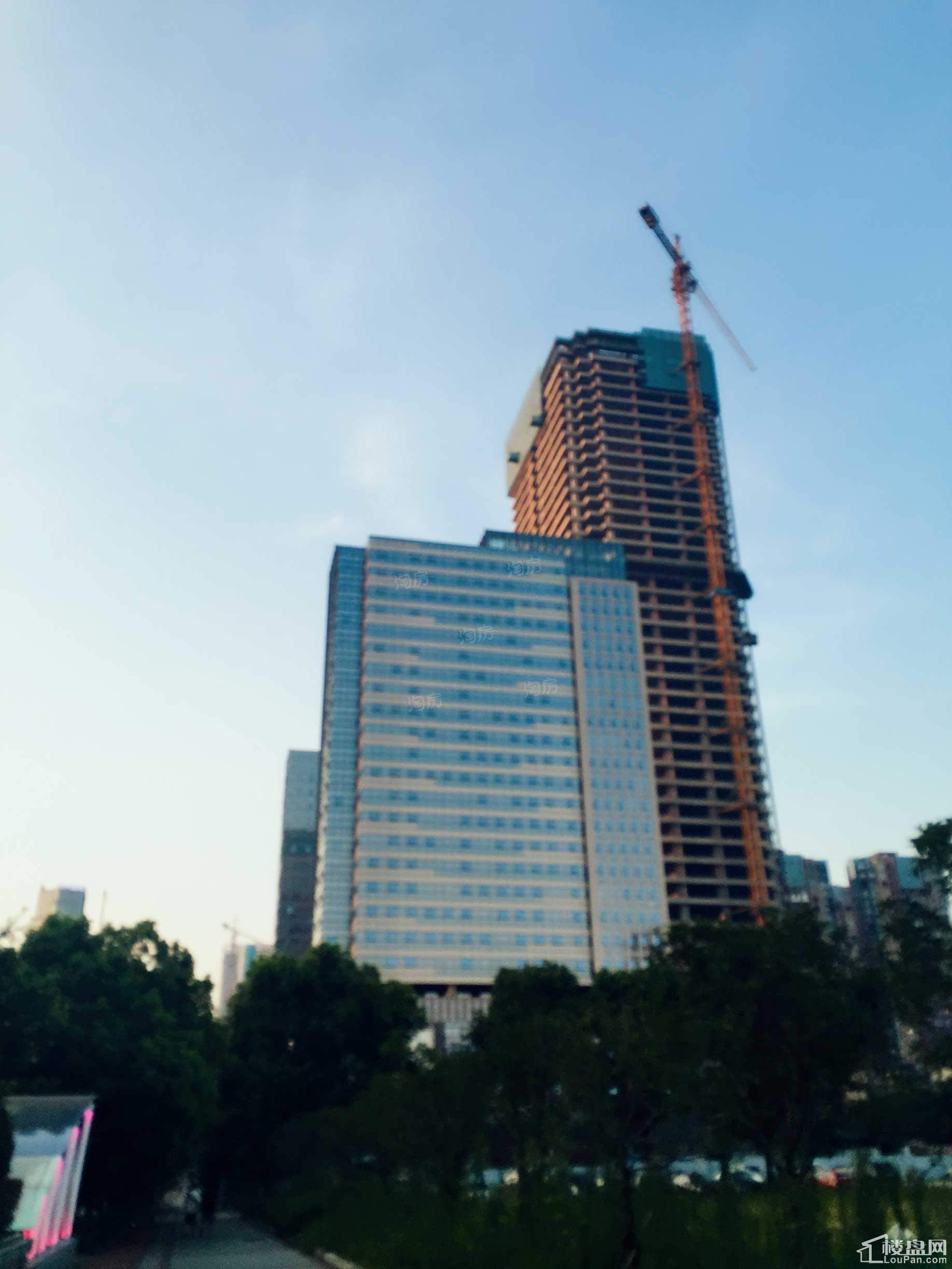 实景图