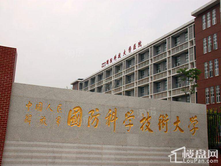 保利香槟国际配套图