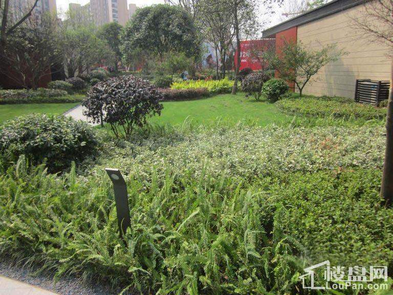 万科魅力之城实景图