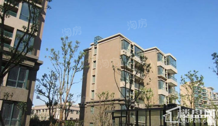 虹桥一号实景图