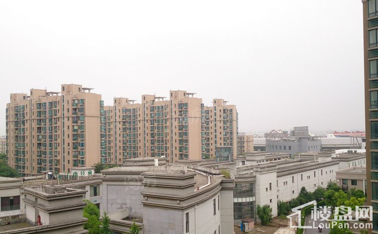 虹桥一号实景图