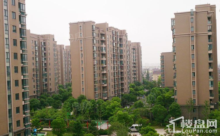 实景图