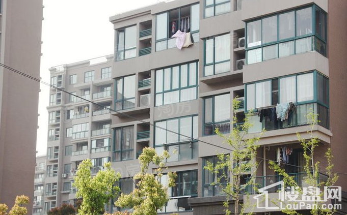 虹桥一号实景图