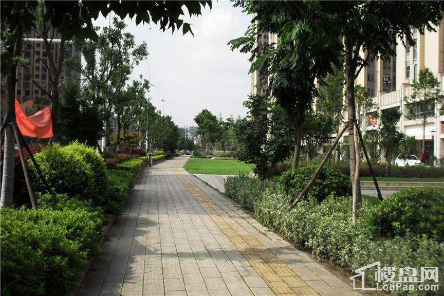 中交中央公园实景图