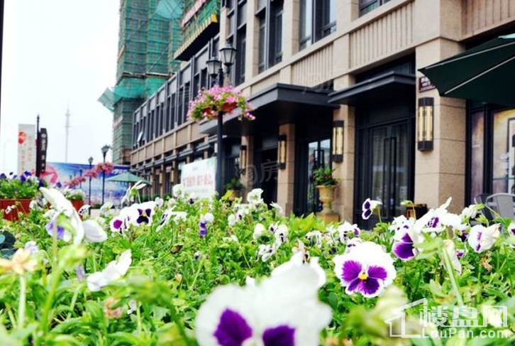 万业梦立方实景图