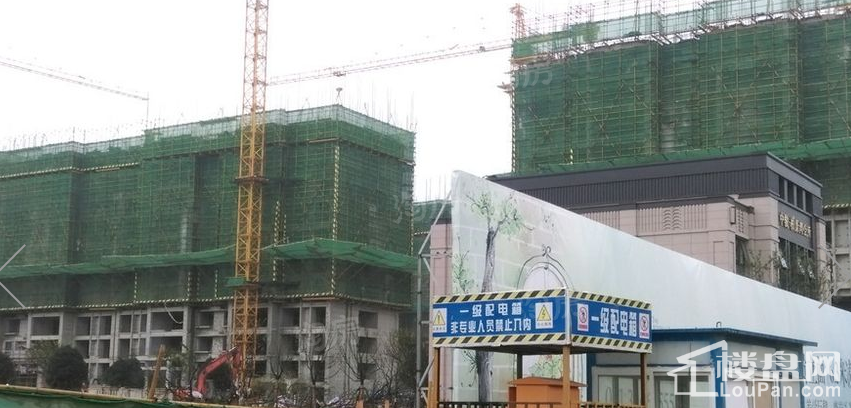 中骏柏景湾实景图