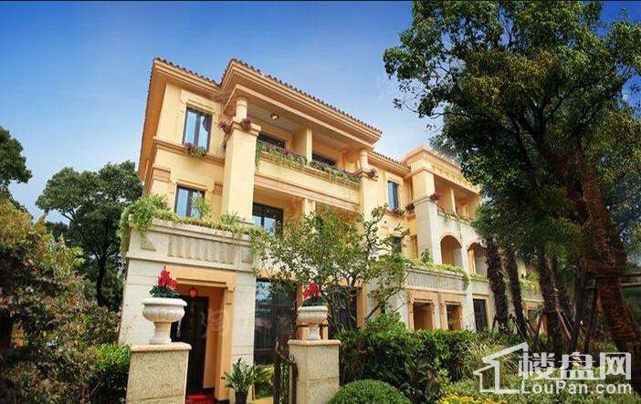 佳兆业8号实景图