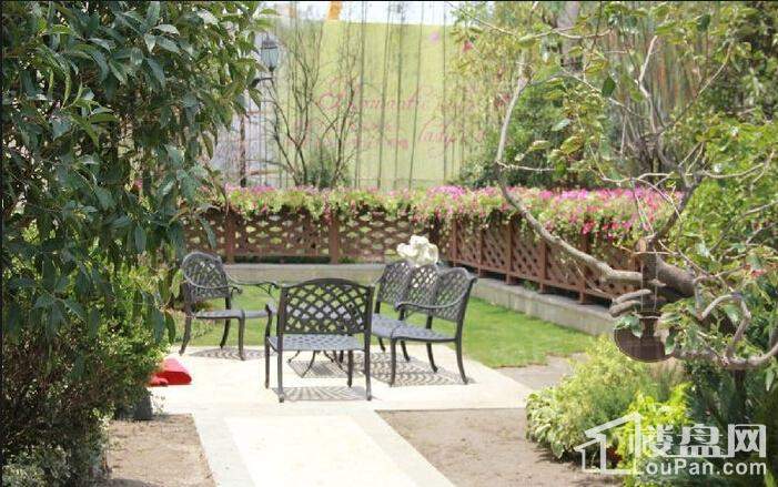 佳兆业8号实景图