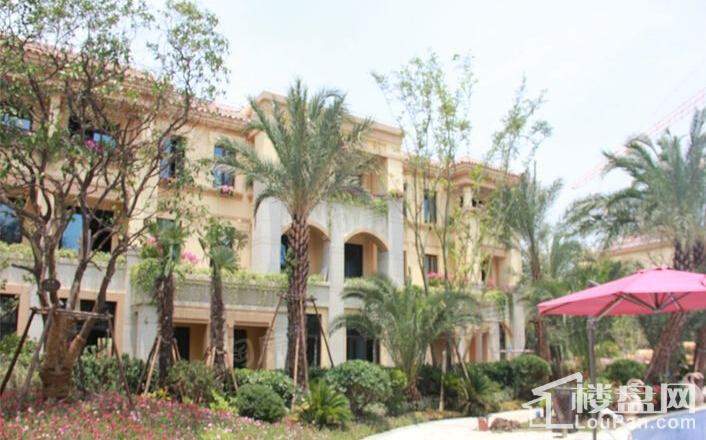 佳兆业8号实景图