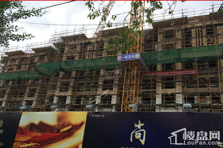 中南锦庭实景图