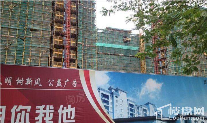 实景图