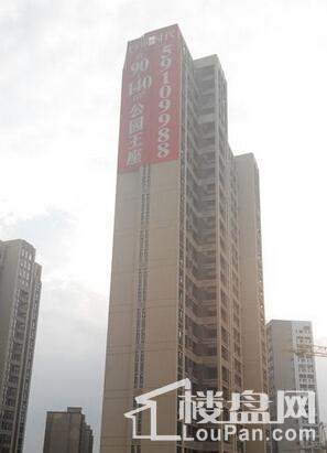 实景图