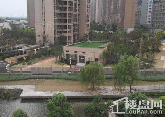 白银时代实景图