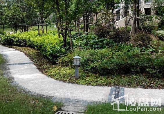 白银时代实景图