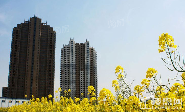 绿岛江湾城实景图