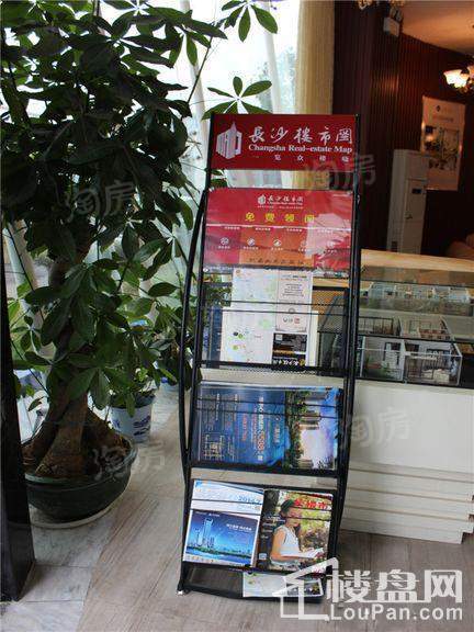 水墨林溪实景图