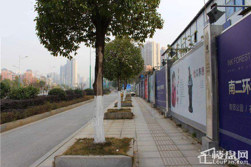 水墨林溪实景图