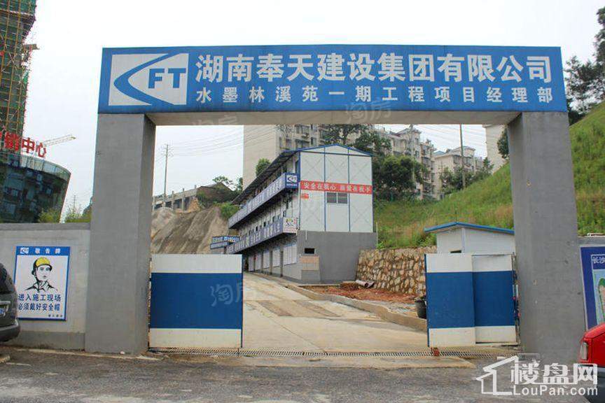 水墨林溪实景图