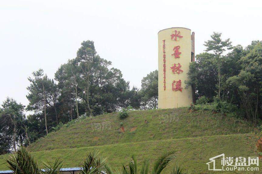 水墨林溪实景图