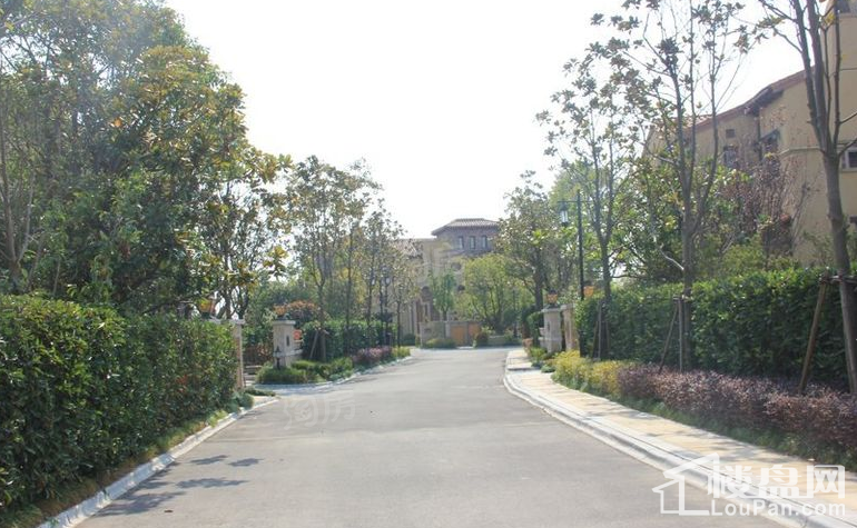 金茂逸墅实景图