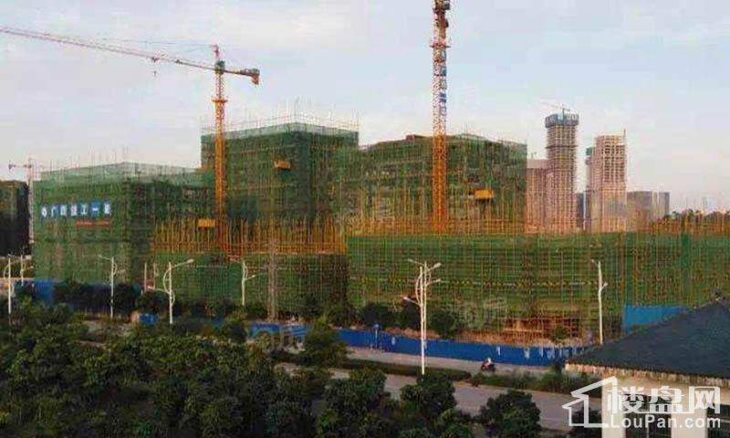 实景图