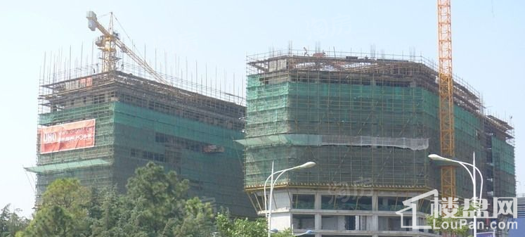实景图